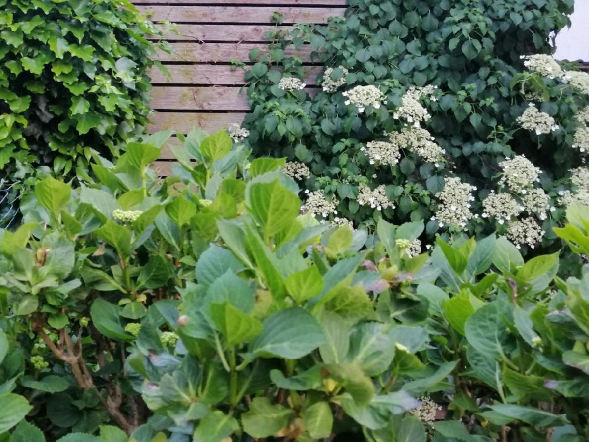 Ferienwohnung Am Steinchen Mettlach Luaran gambar