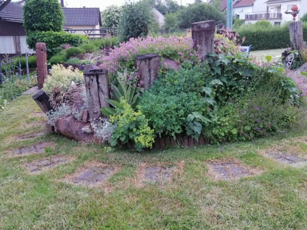 Ferienwohnung Am Steinchen Mettlach Luaran gambar